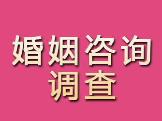 泸定婚姻咨询调查