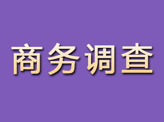 泸定商务调查